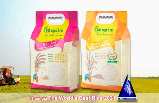Gạo Thiên Vương và Tiên Nữ tham gia thi Gạo Ngon Nhất Thế Giới 2021